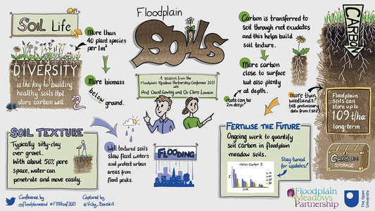 Floodplain meadows - soils