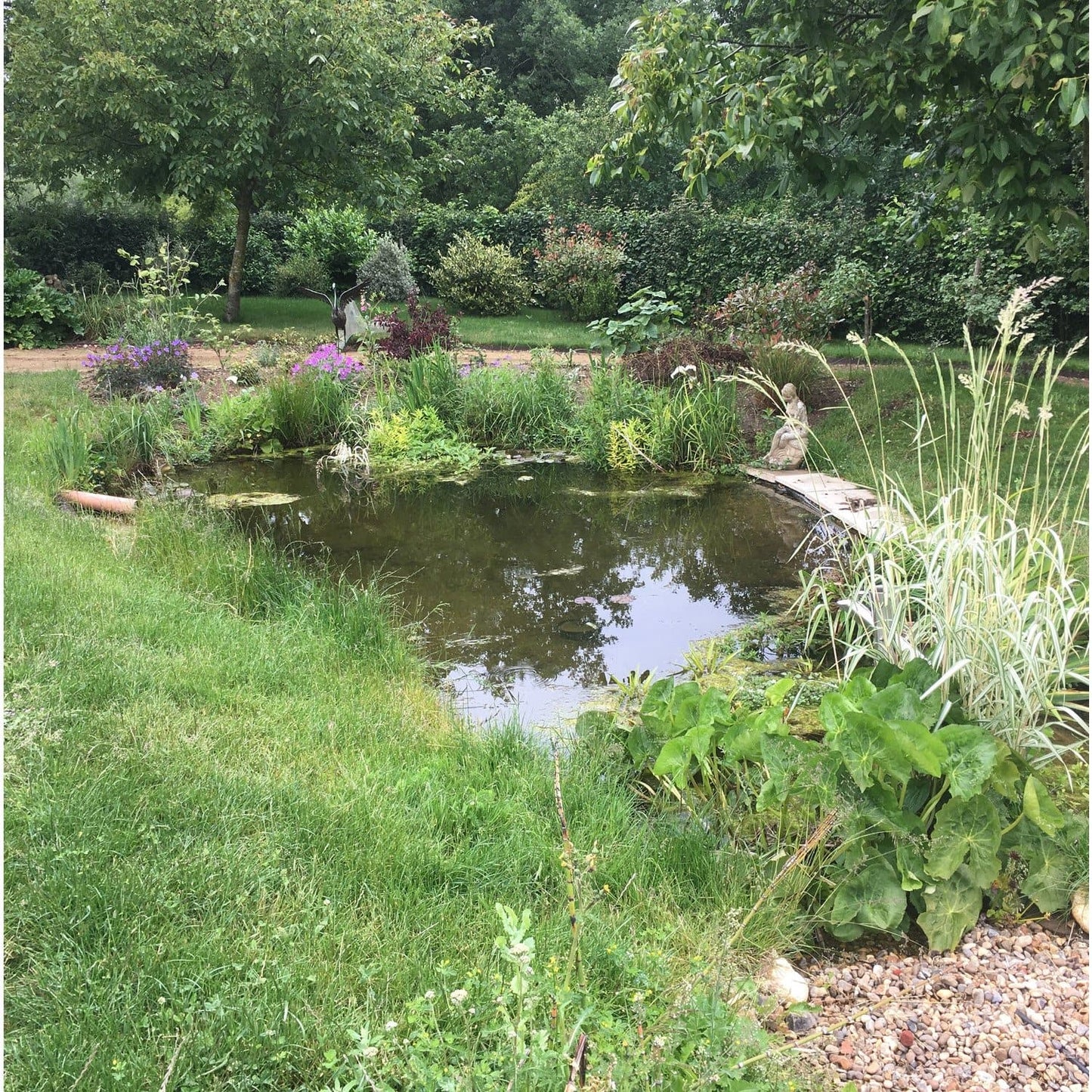 Pond after coir mats installed