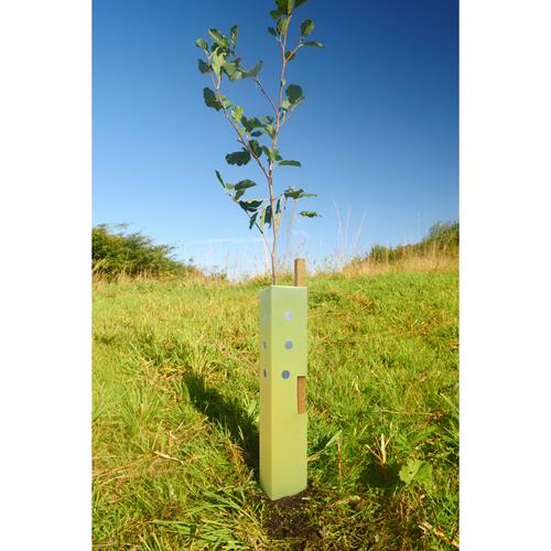 Biodegradable shrub guard