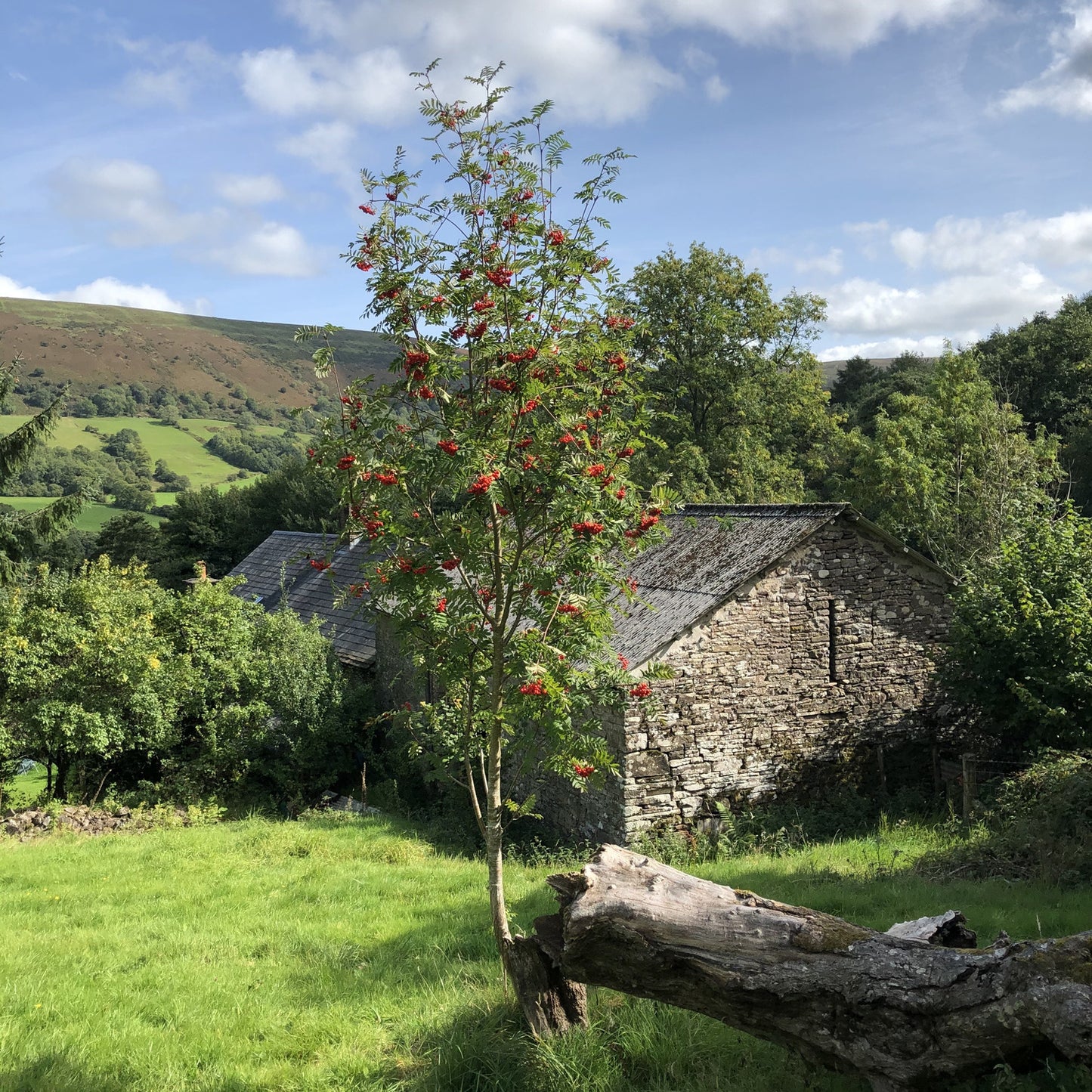 Young Rowan, Llanthony