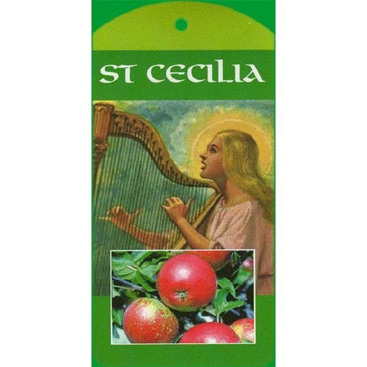 Welsh apple tree - Saint Cecilia