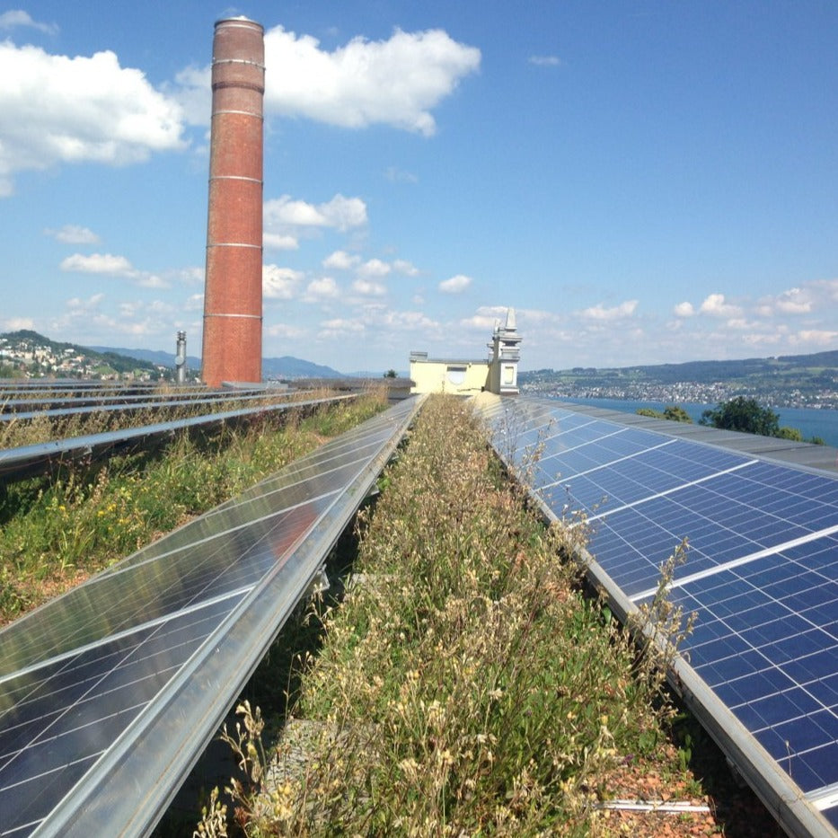 Biosolar roof