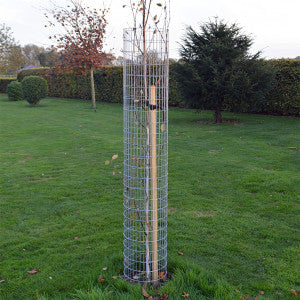 Metal mesh tree guard